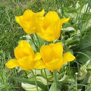 Meet your Posher, Beverly